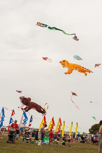 2012_july-6523.jpg - Newport, RI Kite Festival