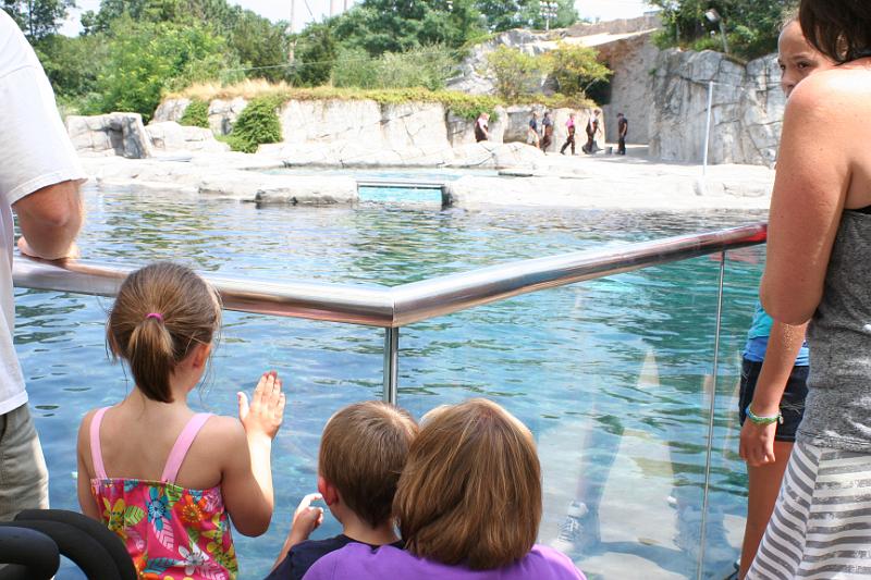 2012_july-6544.jpg - Mystic Aquarium