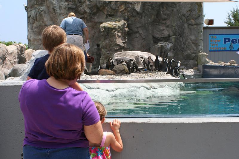 2012_july-6549.jpg - Mystic Aquarium